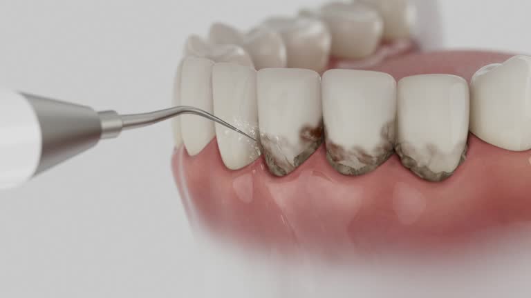 Reliable Dental contractor in Garrettsville, OH by Dentist Open Now